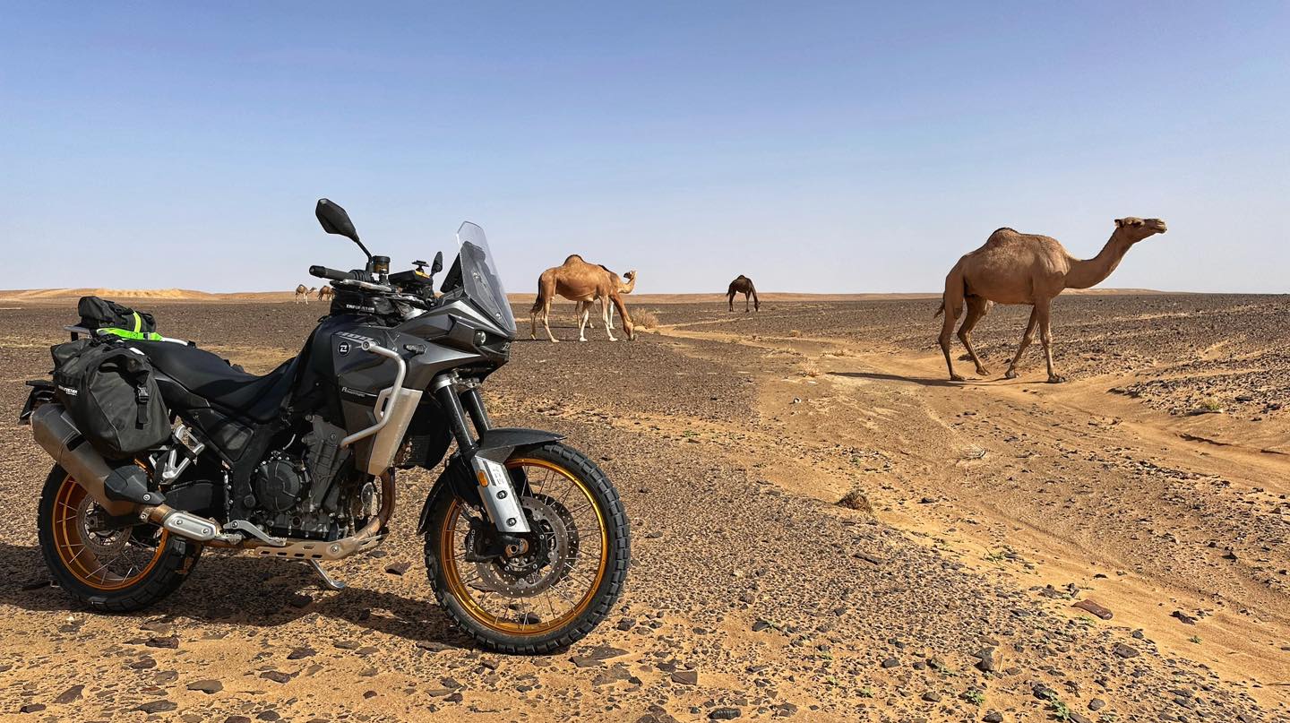Barry's-BBQ-and-bikes.be header 011