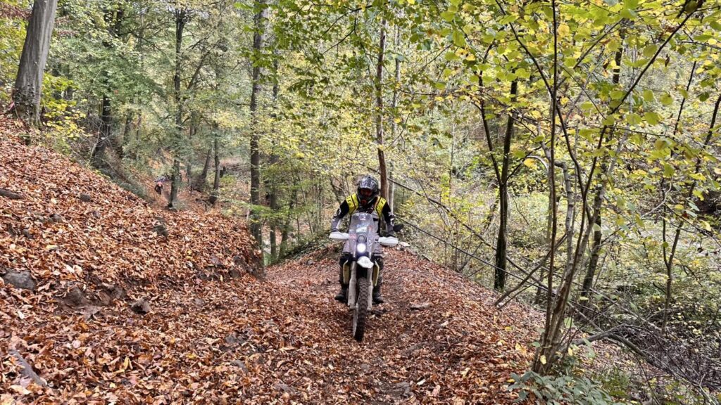 Endurofun Enduro Bilstain opstapper 2025-001