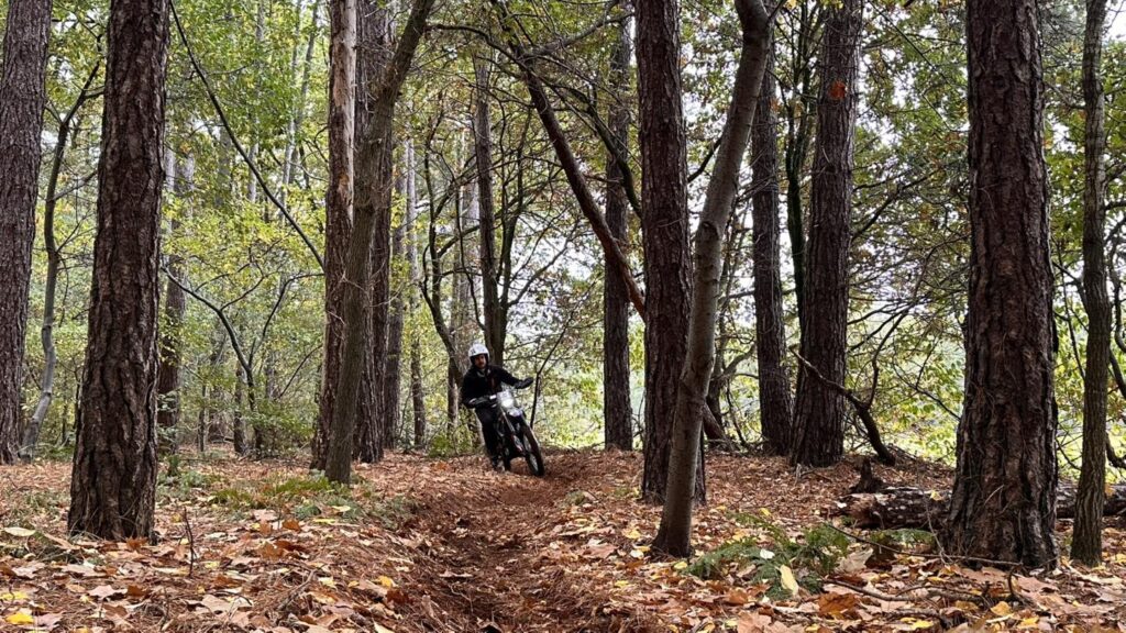 Friends offroad challenge 5